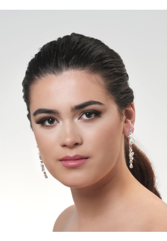 Poirier NC-1333 Oorbellen Zilver ()