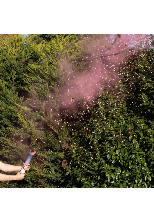 Ginger Ray GR-132 Gender Reveal Poeder Kanon Roze ()