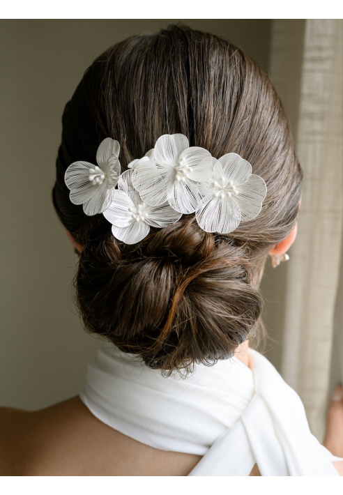 G. Westerleigh HC0416S Haarkammen ()