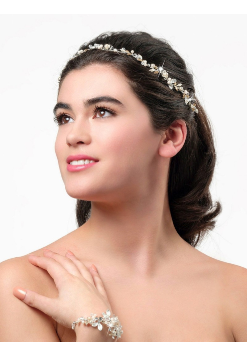 Poirier BB-8581 Haarstreng Zilver/Goud