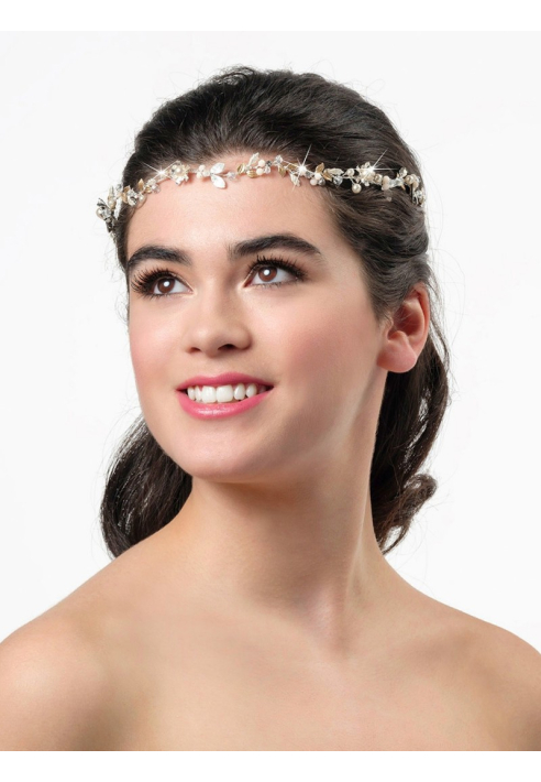 Poirier BB-8581 Haarstreng Zilver/Goud ()