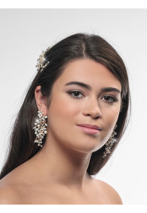 Poirier NC-1323 Oorbellen ()