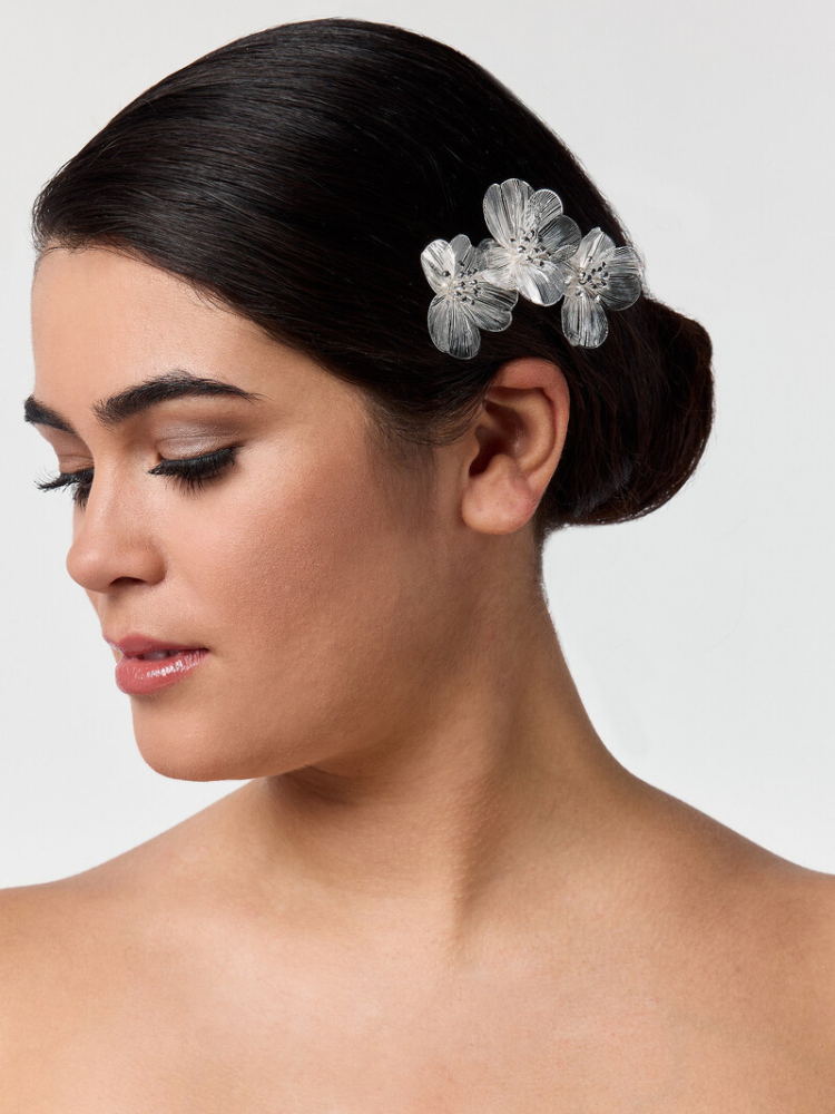 Poirier BB-75025 Haarkam Zilver main product photo