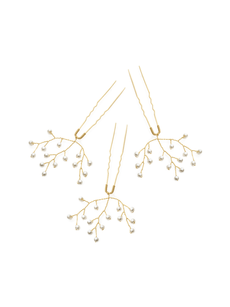 Abrazi Haarspelden Emma Goud main product photo