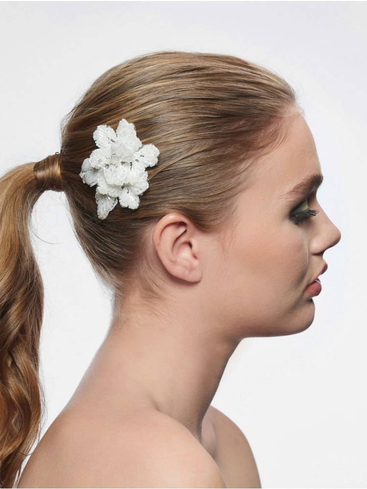 Poirier BB-249 Haarkam main product photo